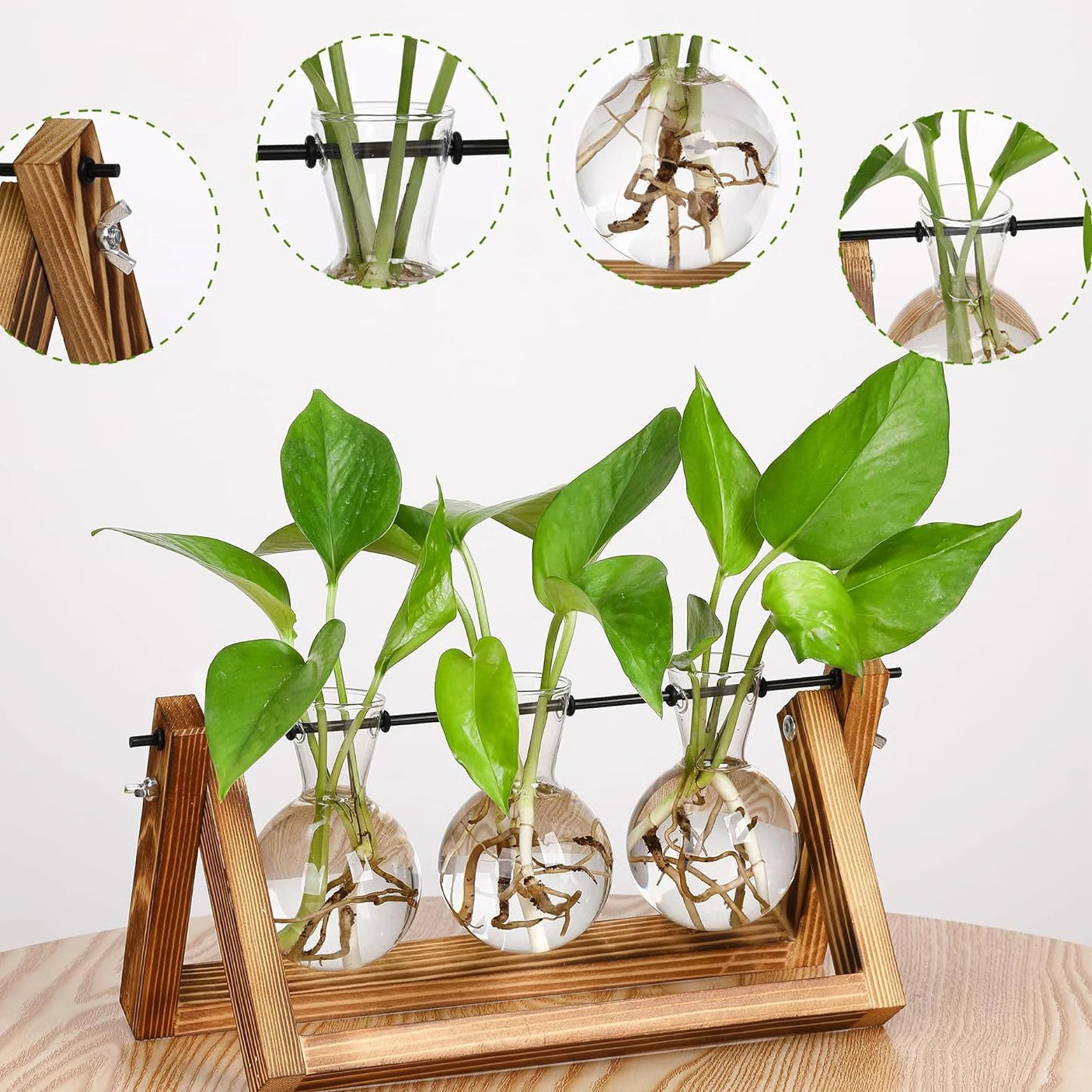 Wooden Frame Hydroponic Glass Vase – Retro Plant Decor