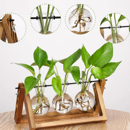 Wooden Frame Hydroponic Glass Vase – Retro Plant Decor