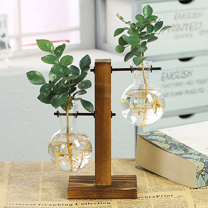Hydroponic Glass Terrarium Vase – Desktop Plant Decor