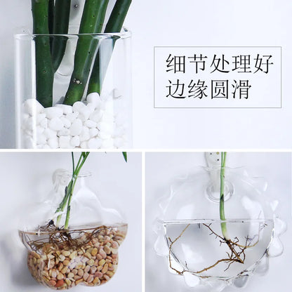 Hanging Hydroponic Glass Vase – Modern Wall-Mounted Plant Decor