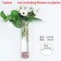 Hanging Hydroponic Glass Vase – Modern Wall-Mounted Plant Decor