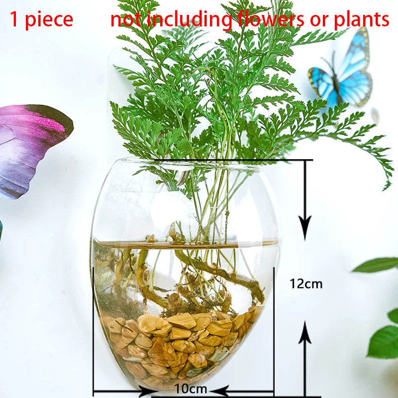 Hanging Hydroponic Glass Vase – Modern Wall-Mounted Plant Decor