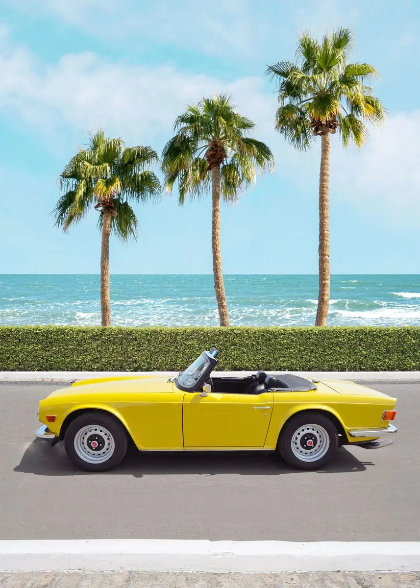 Summer Beach Palm Tree Canvas Wall Art 🌴☀️🌊