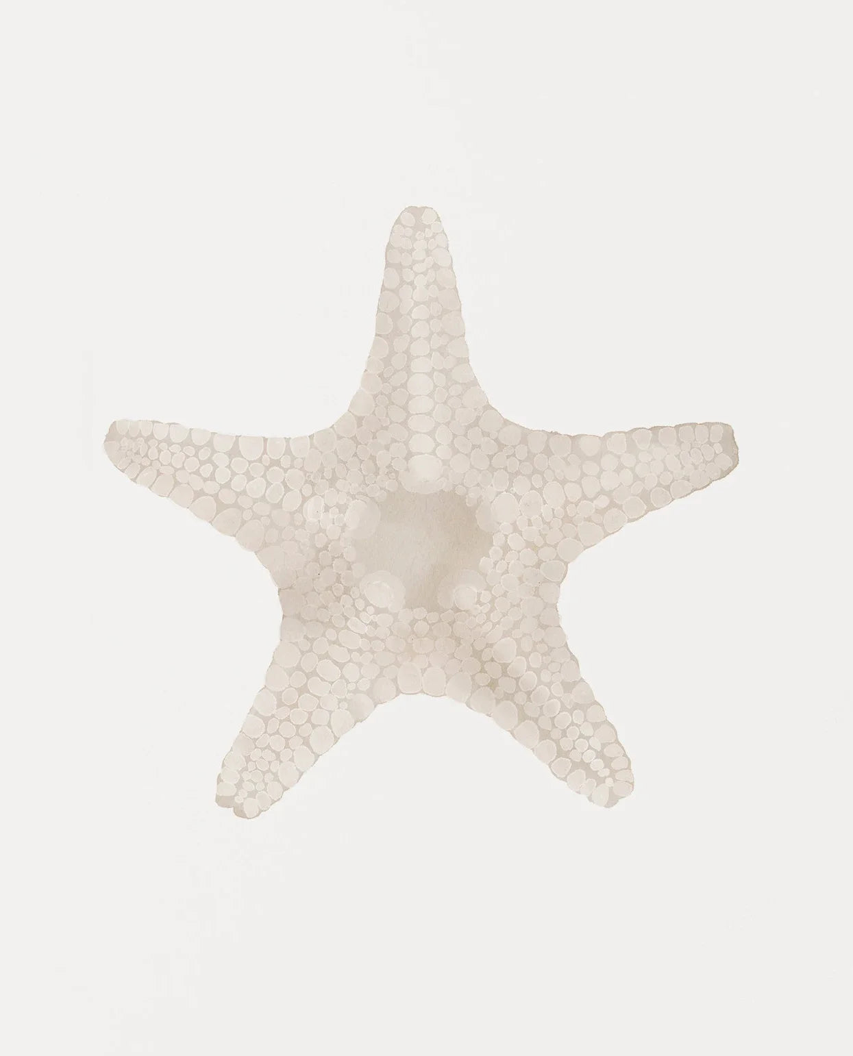 Modern Blue Coastal Shells and Starfish Canvas Poster Set