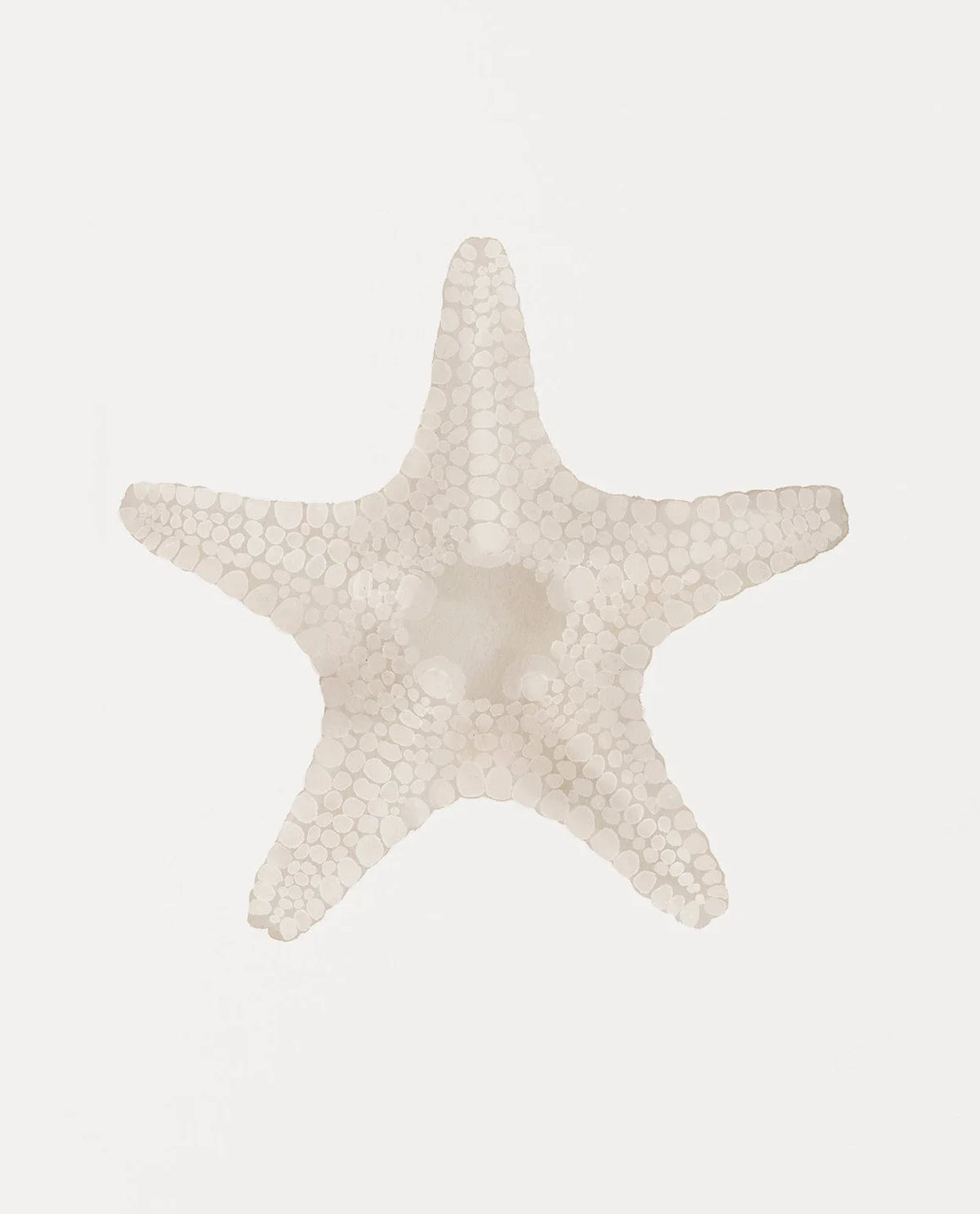Modern Blue Coastal Shells and Starfish Canvas Poster Set