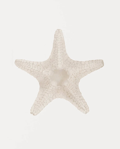 Modern Blue Coastal Shells and Starfish Canvas Poster Set