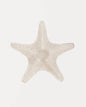 Modern Blue Coastal Shells and Starfish Canvas Poster Set