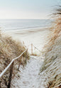 Beach Coastal Ocean Landscape Canvas Poster with Pampas Grass