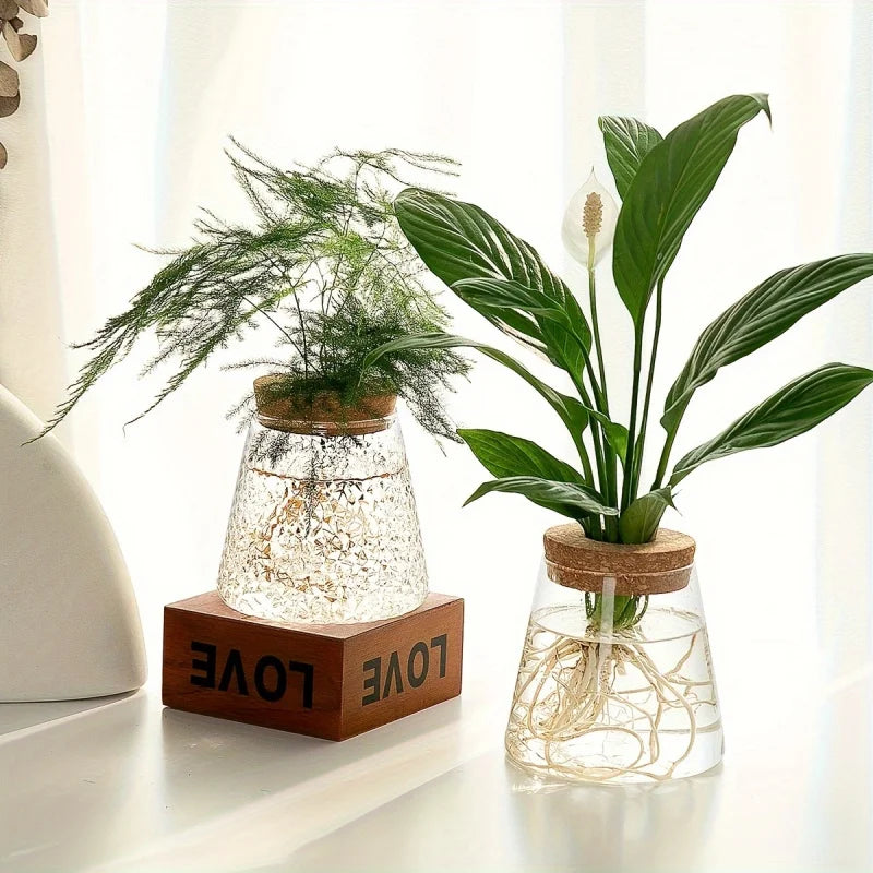Modern Transparent Glass Hydroponic Vase – Desktop Plant Decor