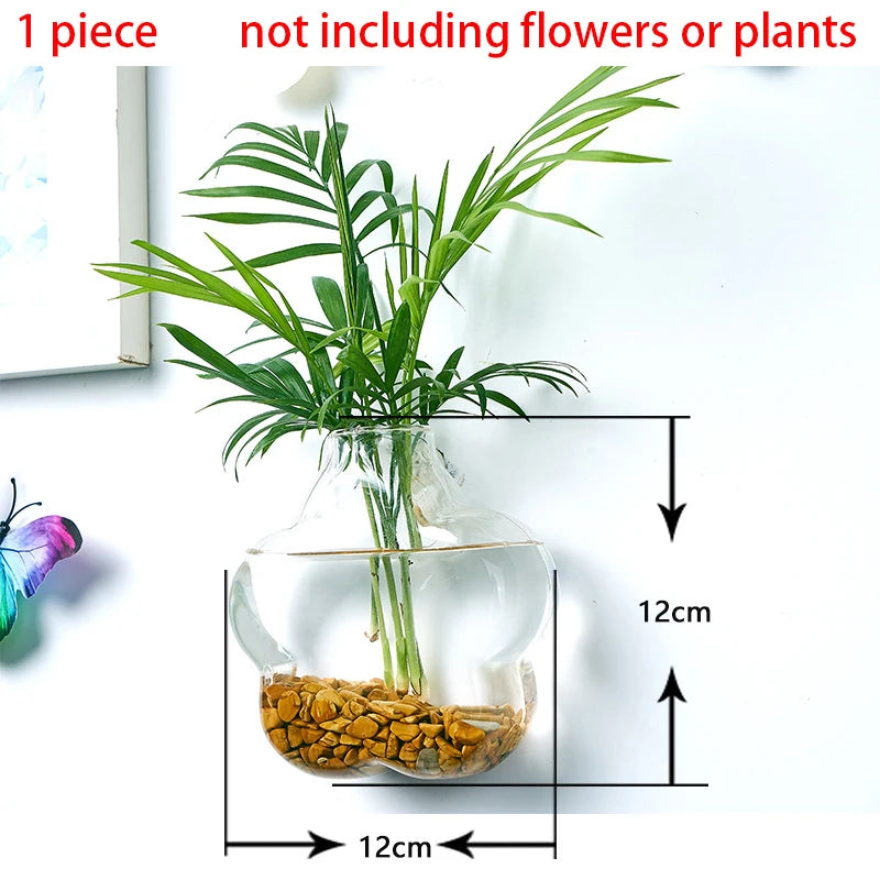Hanging Hydroponic Glass Vase – Modern Wall-Mounted Plant Decor