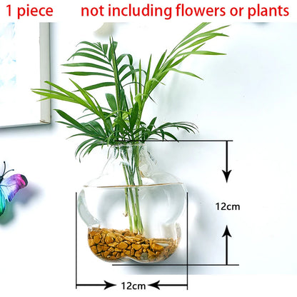 Hanging Hydroponic Glass Vase – Modern Wall-Mounted Plant Decor
