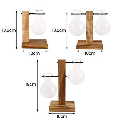 Hydroponic Glass Terrarium Vase – Desktop Plant Decor