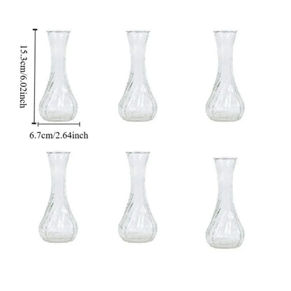 6PCS Mini Glass Vases – Rustic Transparent Flower Decor Set