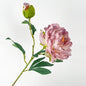 68cm Real-Touch Silk Peony Stem with 2 Blooming Heads