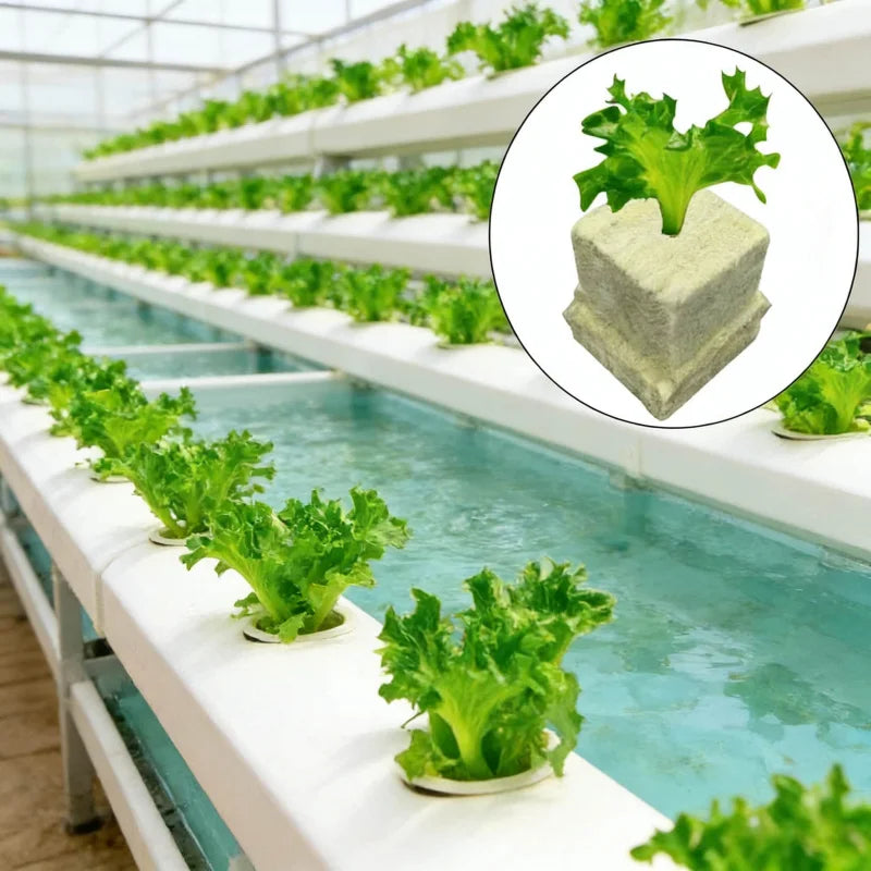 25x25x25mmSoilless Cultivation Seedling Pot Hydroponic Rockwool Plant Seed Germination Special Seedling Block50-100pcs