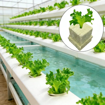 25x25x25mmSoilless Cultivation Seedling Pot Hydroponic Rockwool Plant Seed Germination Special Seedling Block50-100pcs