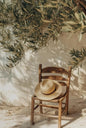 Natural Aesthetics Olive Tree Landscape Wall Art Print