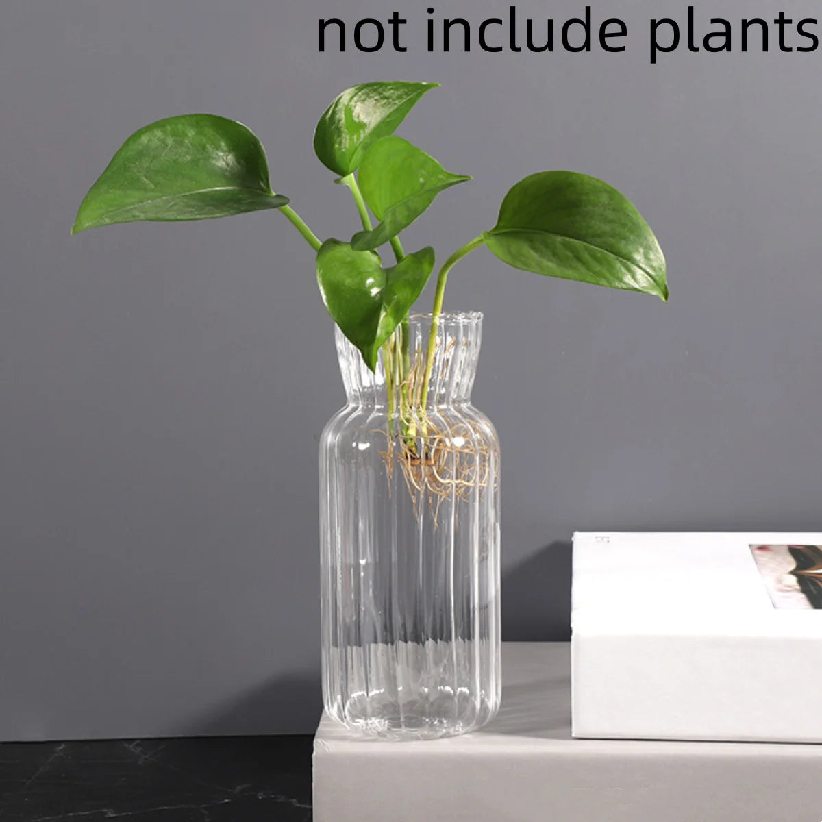 Transparent Glass Vase – Retro Striped Hydroponic Flower Decor