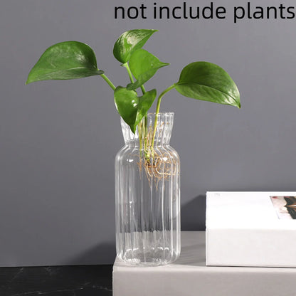 Transparent Glass Vase – Retro Striped Hydroponic Flower Decor