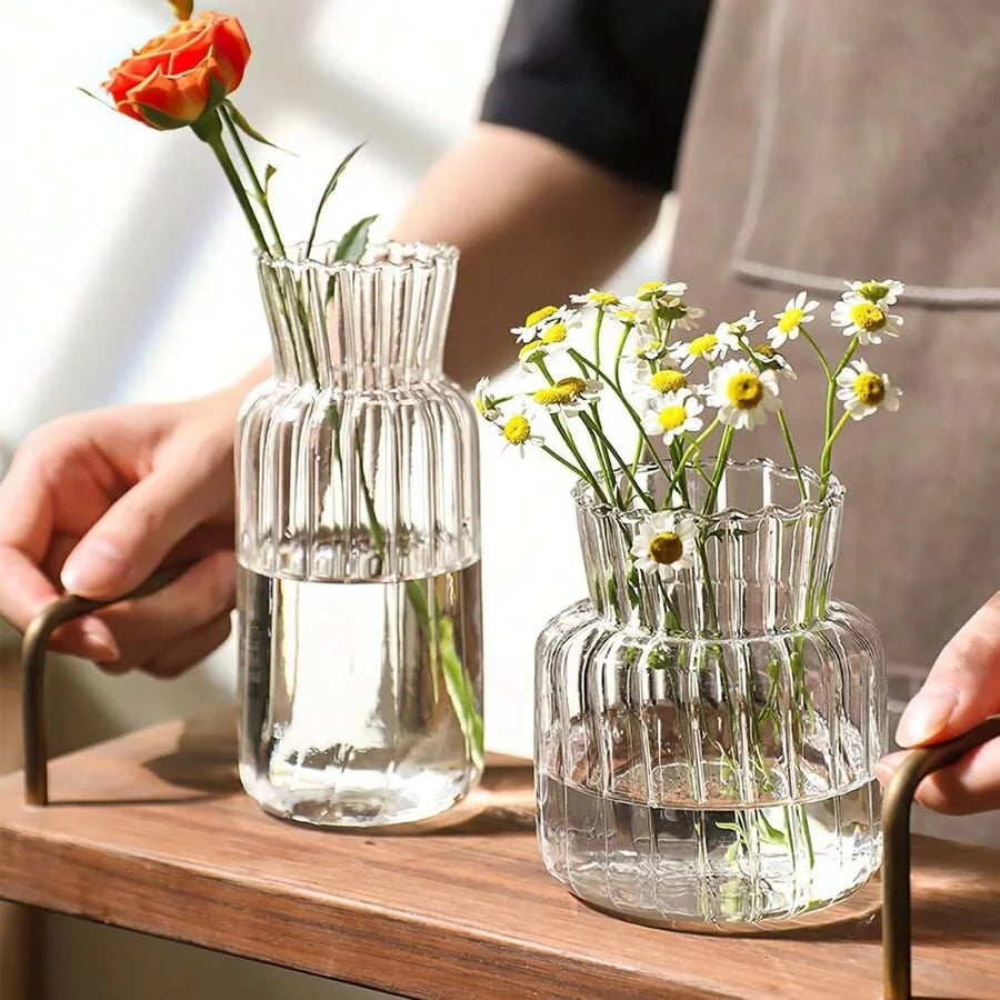 Transparent Glass Vase – Retro Striped Hydroponic Flower Decor