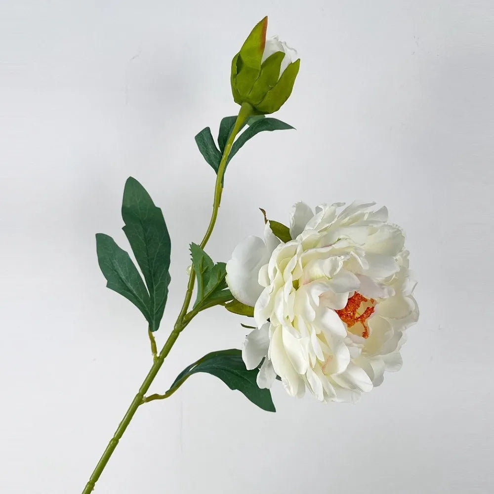 68cm Real-Touch Silk Peony Stem with 2 Blooming Heads