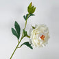 68cm Real-Touch Silk Peony Stem with 2 Blooming Heads