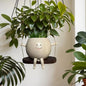 Cute Swing Face Succulent Planter