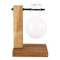 Hydroponic Glass Terrarium Vase – Desktop Plant Decor
