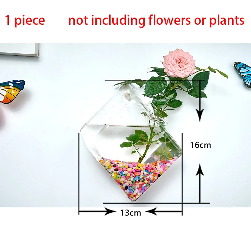 Hanging Hydroponic Glass Vase – Modern Wall-Mounted Plant Decor