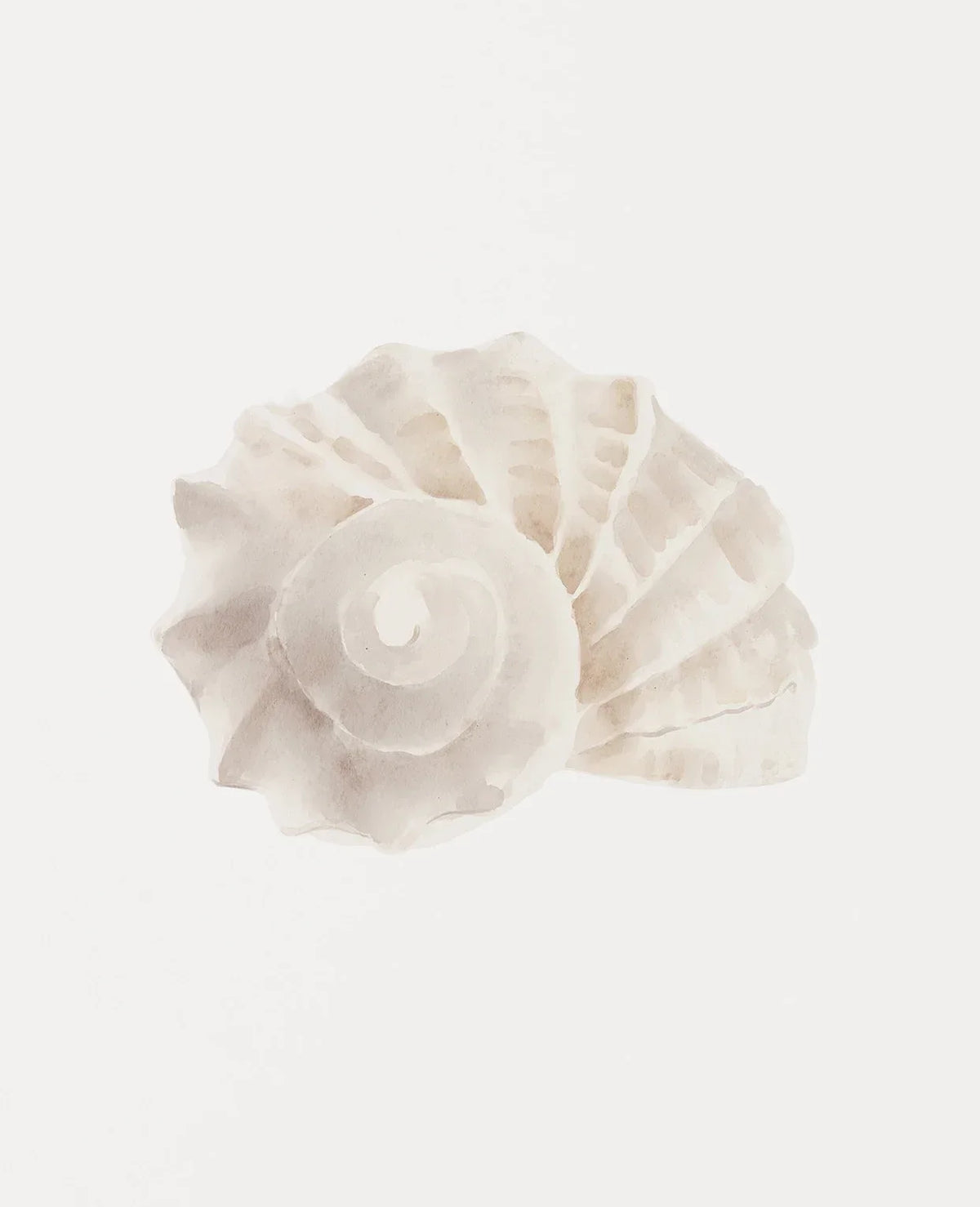 Modern Blue Coastal Shells and Starfish Canvas Poster Set