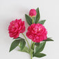 30-Inch Premium European Silk Peony Artificial Flower Bouquet