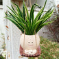 Cute Swing Face Succulent Planter