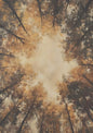 Cozy Vintage Country Tree Canvas Print | Landscape Wall Art