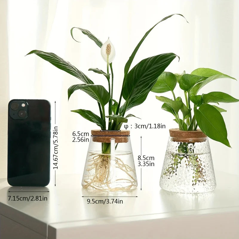 Modern Transparent Glass Hydroponic Vase – Desktop Plant Decor