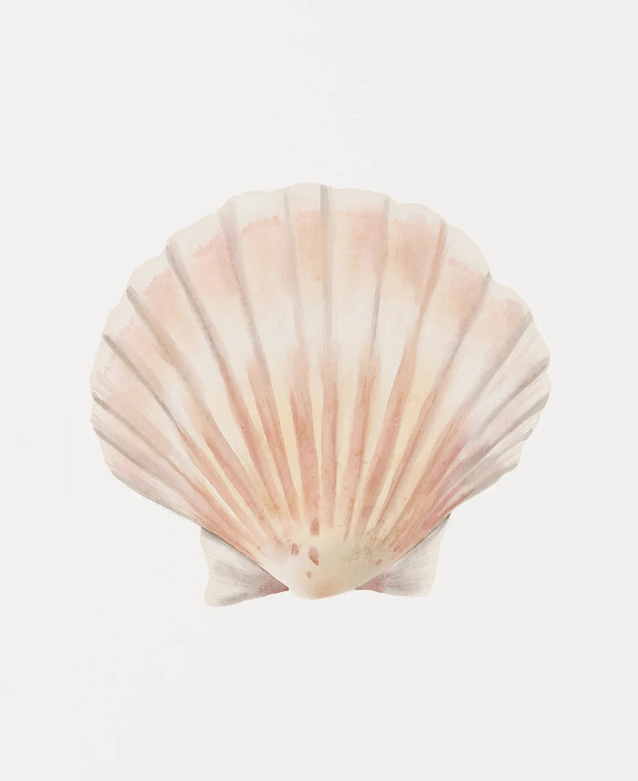 Modern Blue Coastal Shells and Starfish Canvas Poster Set
