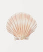 Modern Blue Coastal Shells and Starfish Canvas Poster Set
