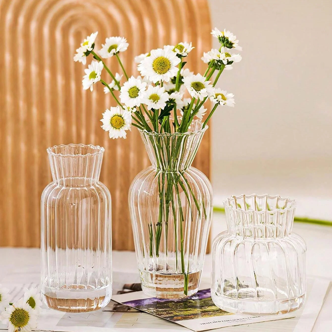Transparent Glass Vase – Retro Striped Hydroponic Flower Decor