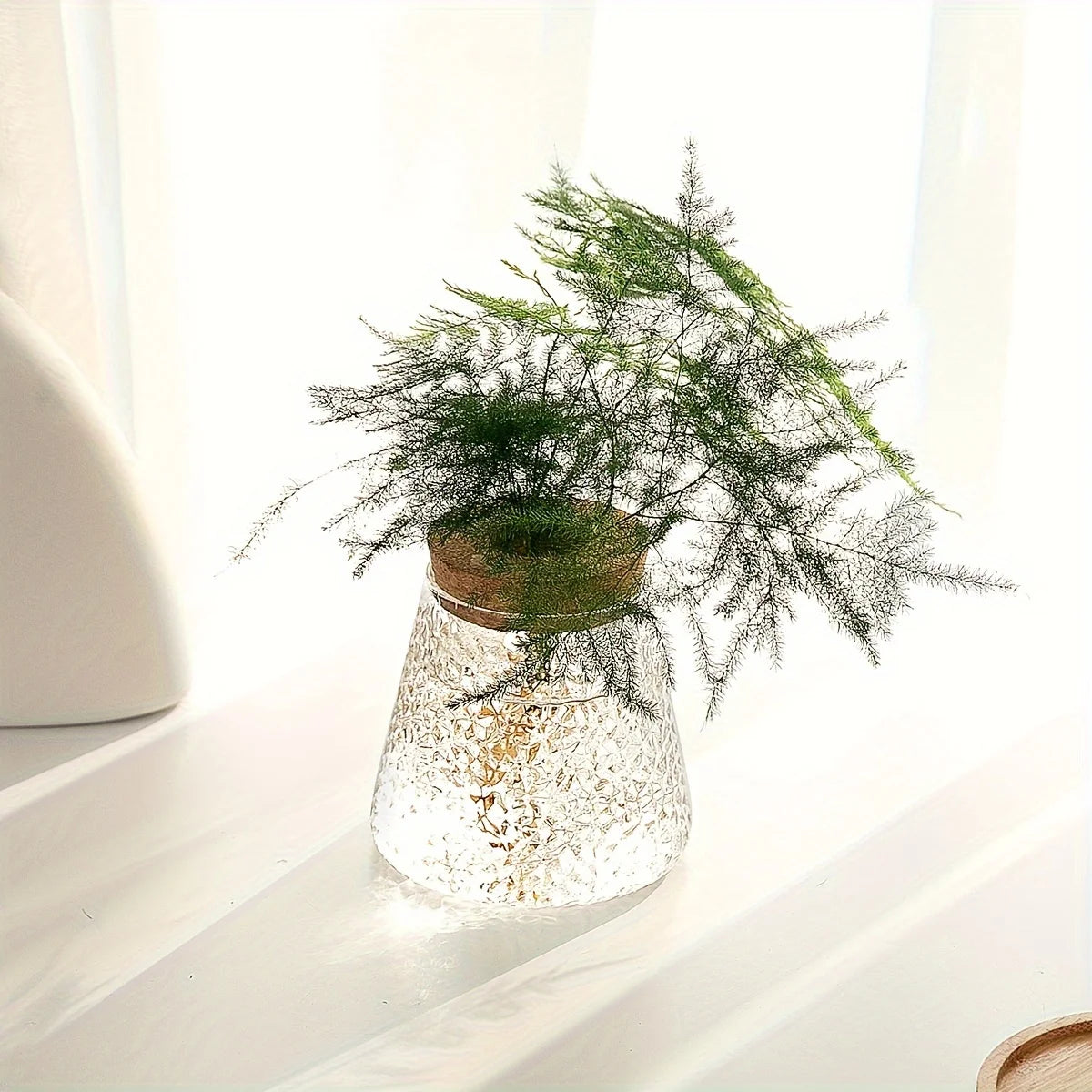 Modern Transparent Glass Hydroponic Vase – Desktop Plant Decor