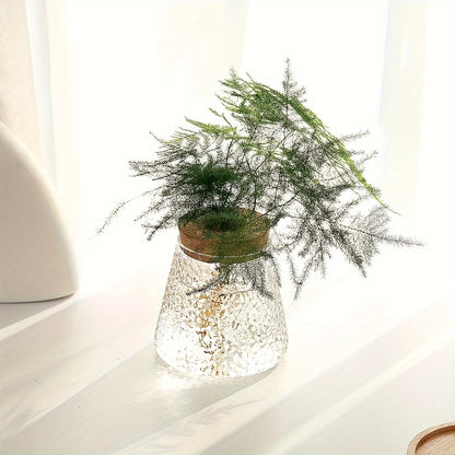 Modern Transparent Glass Hydroponic Vase – Desktop Plant Decor