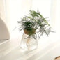 Modern Transparent Glass Hydroponic Vase – Desktop Plant Decor