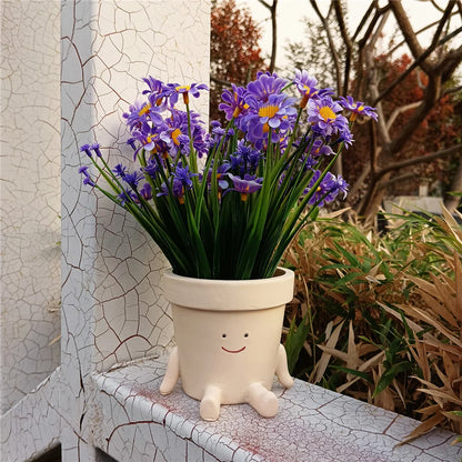 Cute Swing Face Succulent Planter