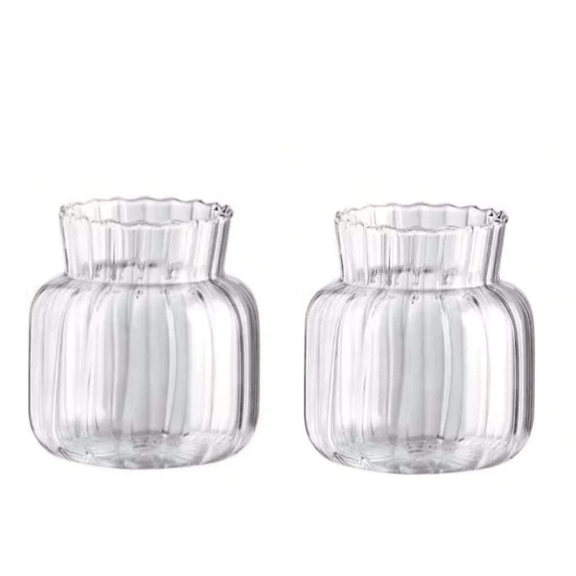 Transparent Glass Vase – Retro Striped Hydroponic Flower Decor