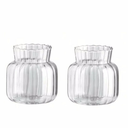 Transparent Glass Vase – Retro Striped Hydroponic Flower Decor