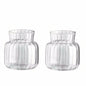 Transparent Glass Vase – Retro Striped Hydroponic Flower Decor