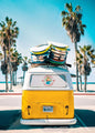 Summer Beach Palm Tree Canvas Wall Art 🌴☀️🌊