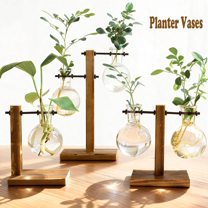 Hydroponic Glass Terrarium Vase – Desktop Plant Decor
