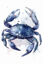 Watercolor Blue Coastal Sea Creatures Canvas Wall Art Posters
