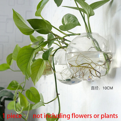 Hanging Hydroponic Glass Vase – Modern Wall-Mounted Plant Decor