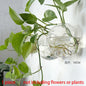 Hanging Hydroponic Glass Vase – Modern Wall-Mounted Plant Decor