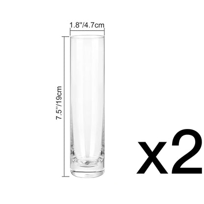 Clear Glass Cylinder Vase – Elegant Flower & Home Decor